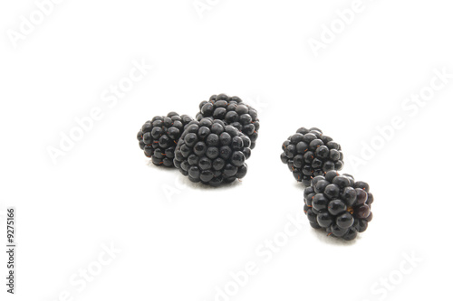 Group of plump, juicy blackberries ready to eat