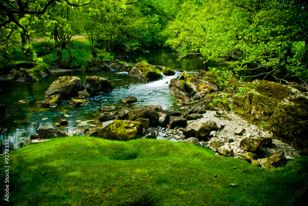 Amazing green, lush river scene