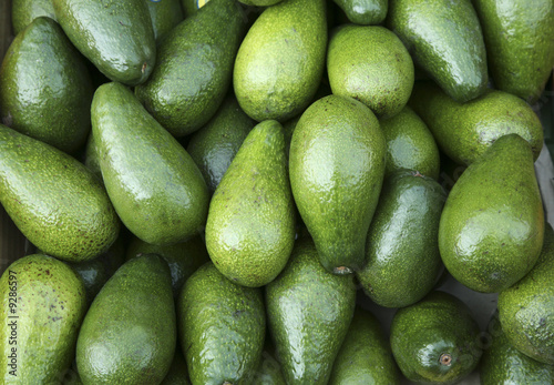 Avocado background