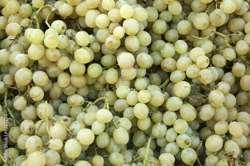 Green grapes background