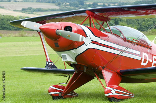 Red Pitts