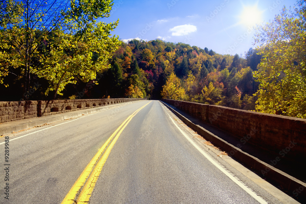 Bridge across the Cumberland River in Kentucky Bridge across the Cumberland River in Kentucky