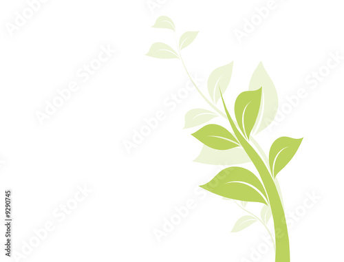 vecteur série - floral design feuilles et liane vectorielle