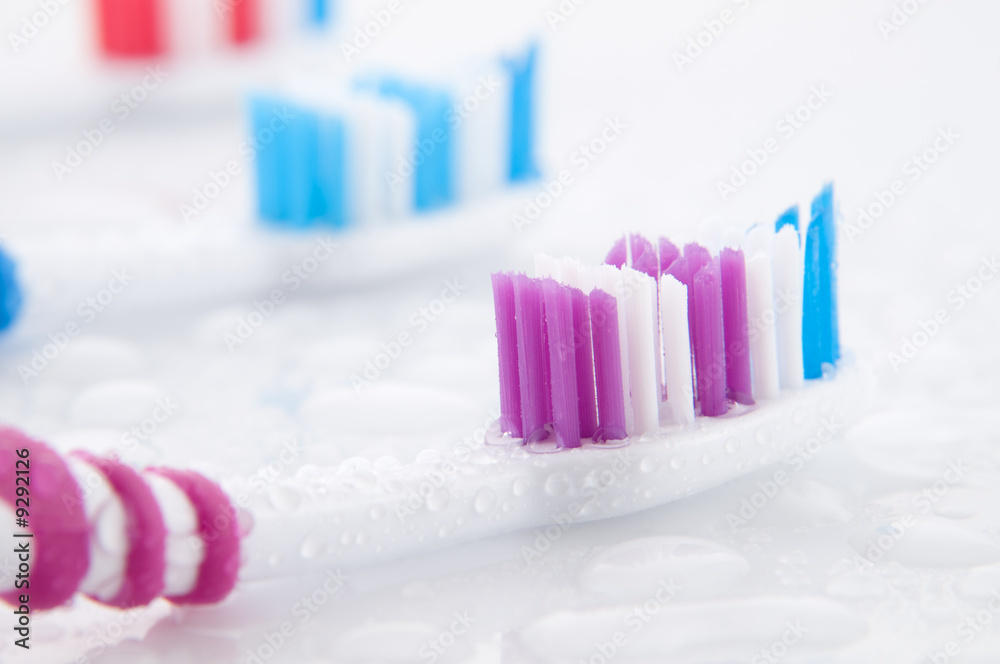 Close up view of toothbrushes isolated on white