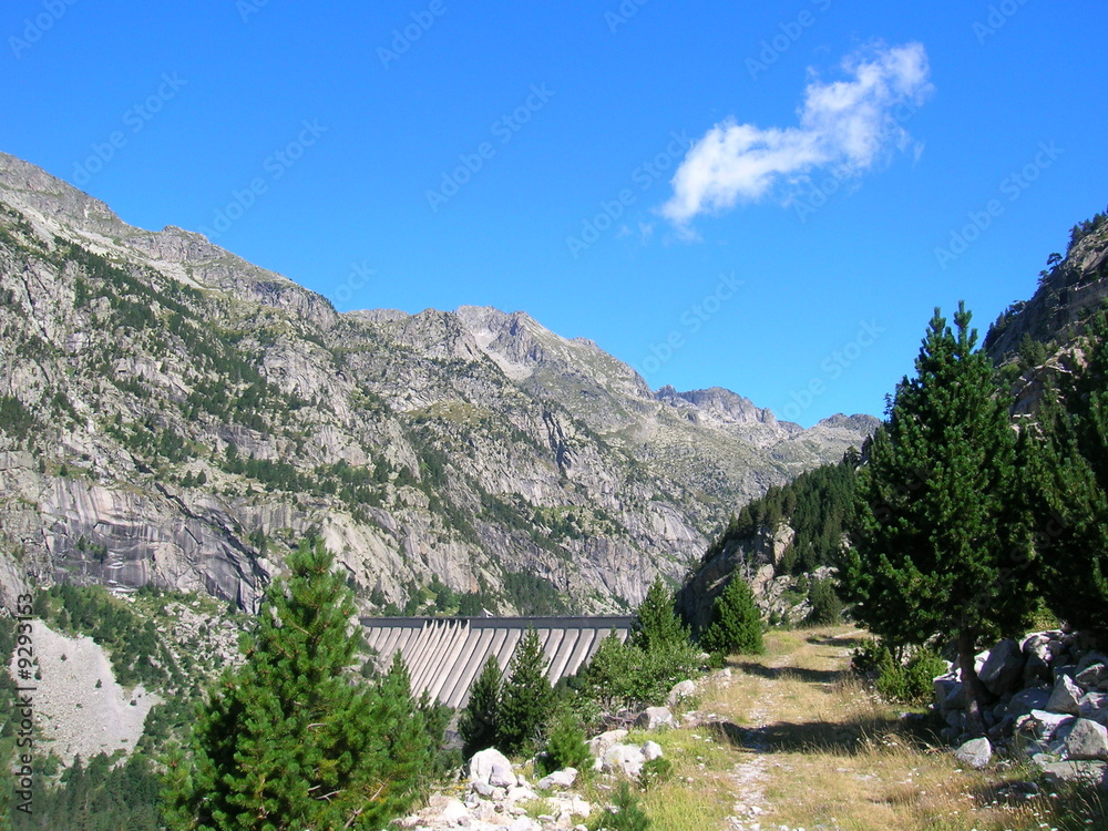Naklejka premium Barrage de Cavallers