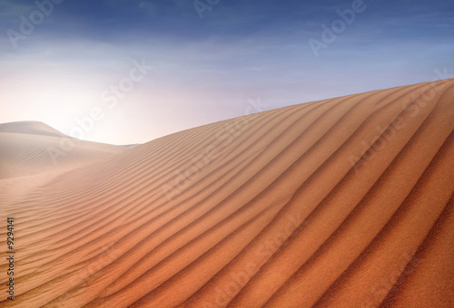 Dunes of the Sahara