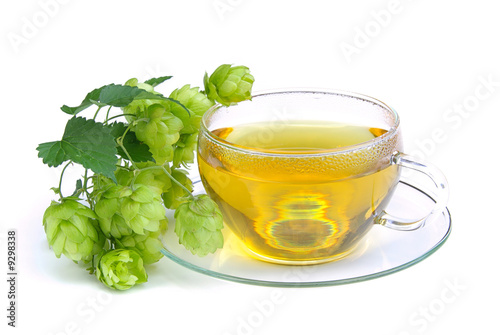 Tee Hopfen - tea hop 01