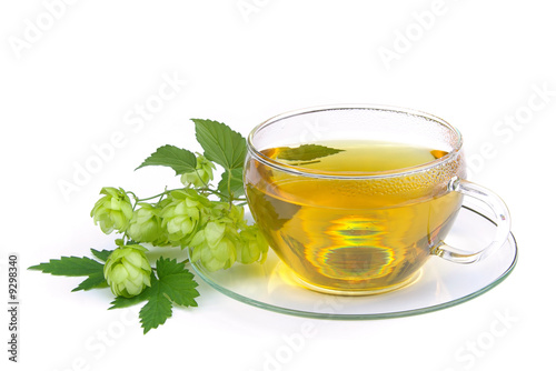 Tee Hopfen - tea hop 02