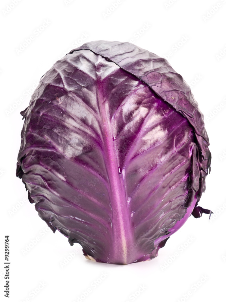 Fototapeta premium Red cabbage isolated on white