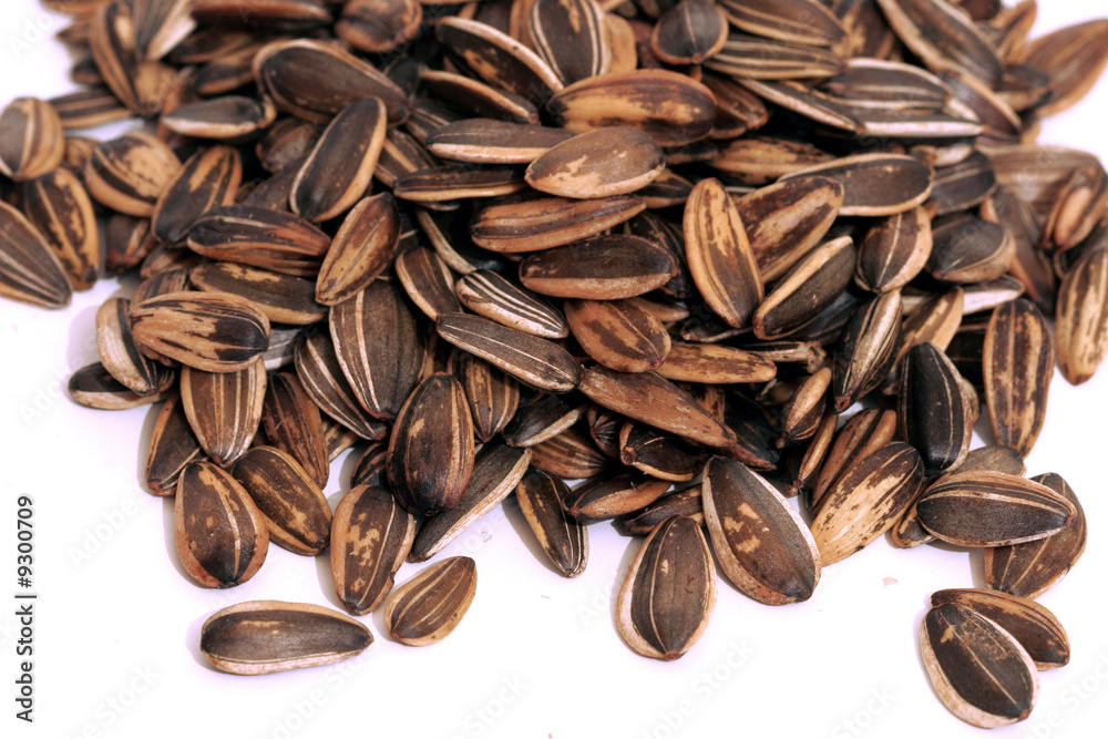 Seed Seed