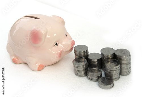 Pink pig look at coins