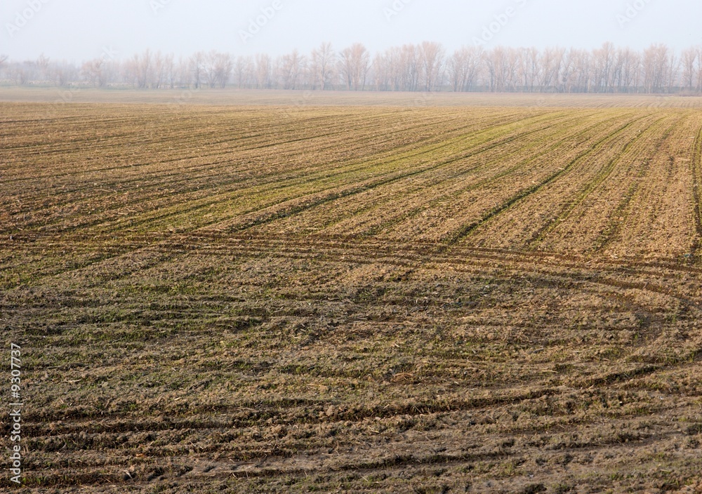 Bare agricultural field in autumn