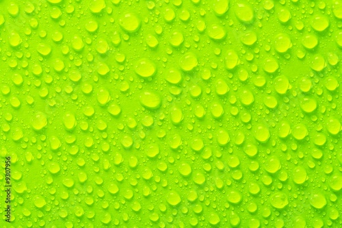 Water droplets on green surface