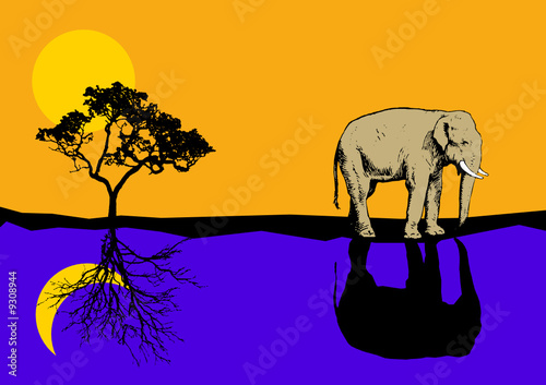 elephant walk