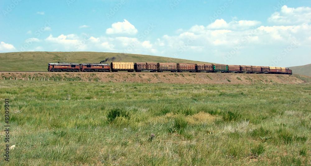 Transmongolian train