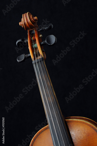 Violin