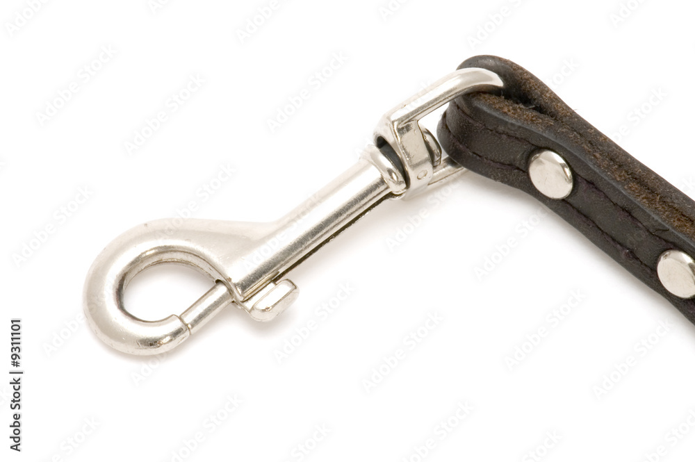 object on white tool dog lead object on white tool dog lead