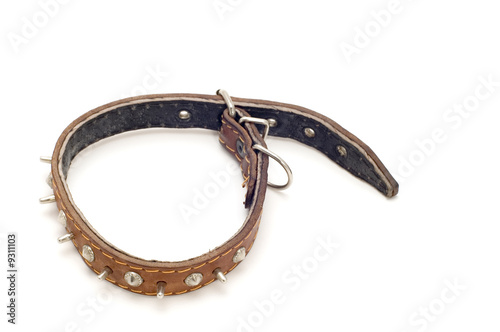 object on white tool collar for dog