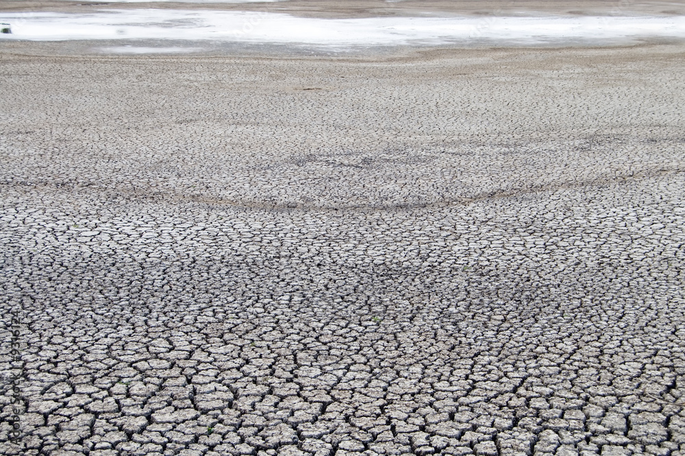 Naklejka premium textured ground on desert with cracks on the spot