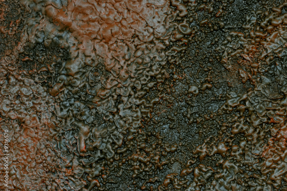 Texture Texture