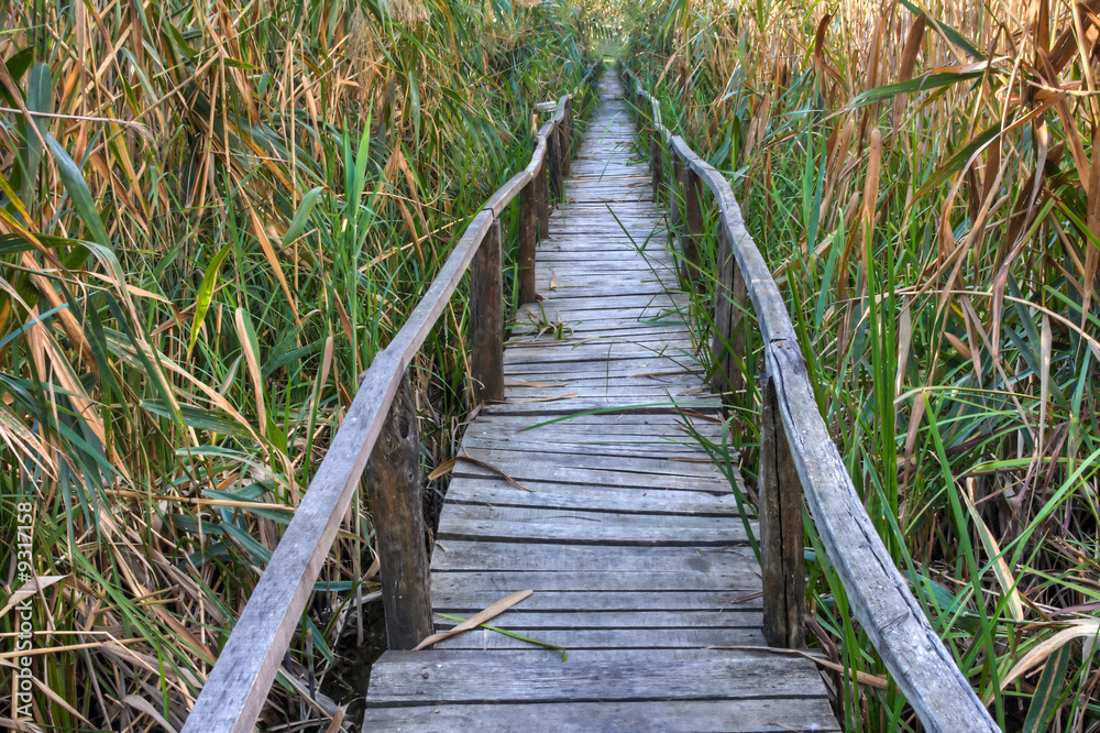 Obraz premium Wooden bridge in Comana Natural Park, Romania.