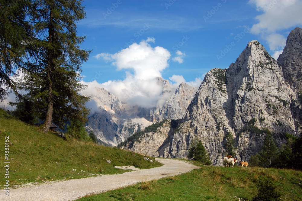 Summer Alpine Landscape