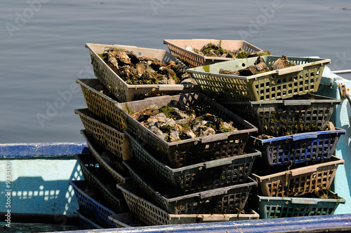 chaland à huitres dans le bassin d'arcachon