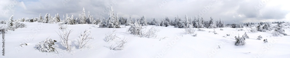Panoramique neige
