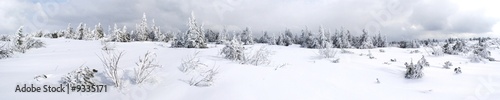 Panoramique neige
