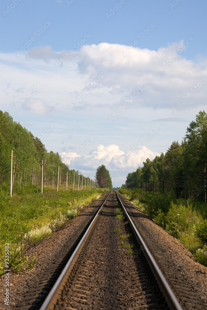 The railway, trees along it and the sky