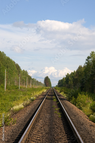 The railway, trees along it and the sky