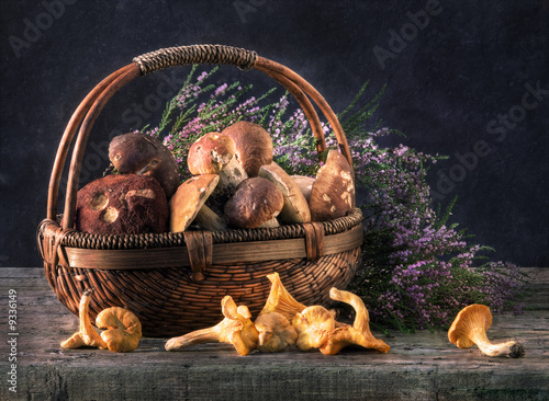 Ceps in a basket in an environment of a heather. photo