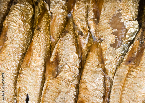 Can with sprats on a white background