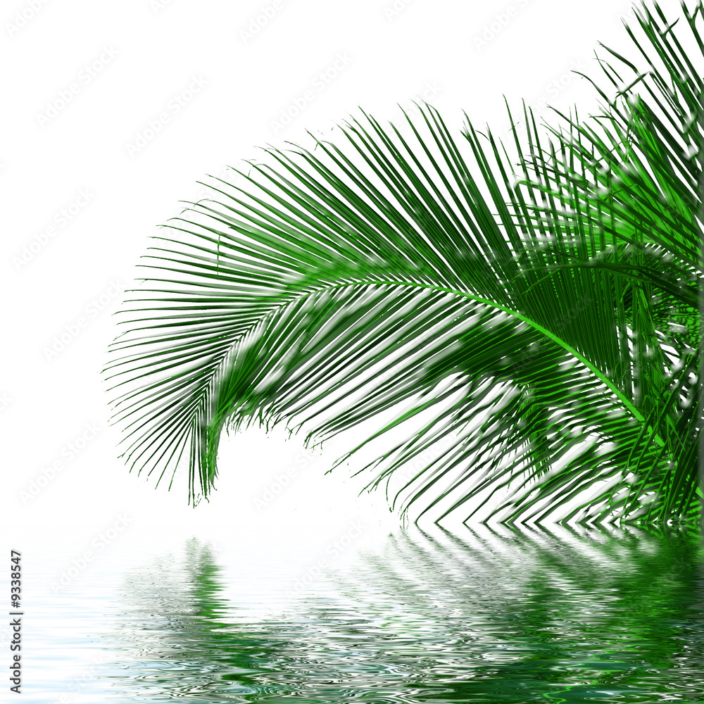Fototapeta premium palme verre vert