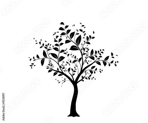 vecteur série, arbre vectoriel - vector serie, tree and leaves #9338917