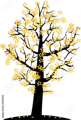 autumnal tree
