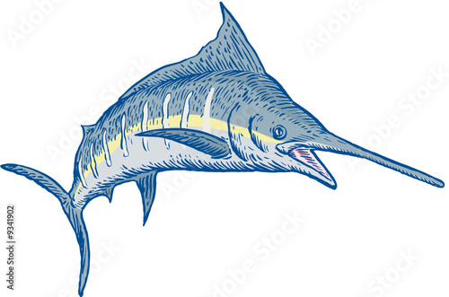 Blue marlin