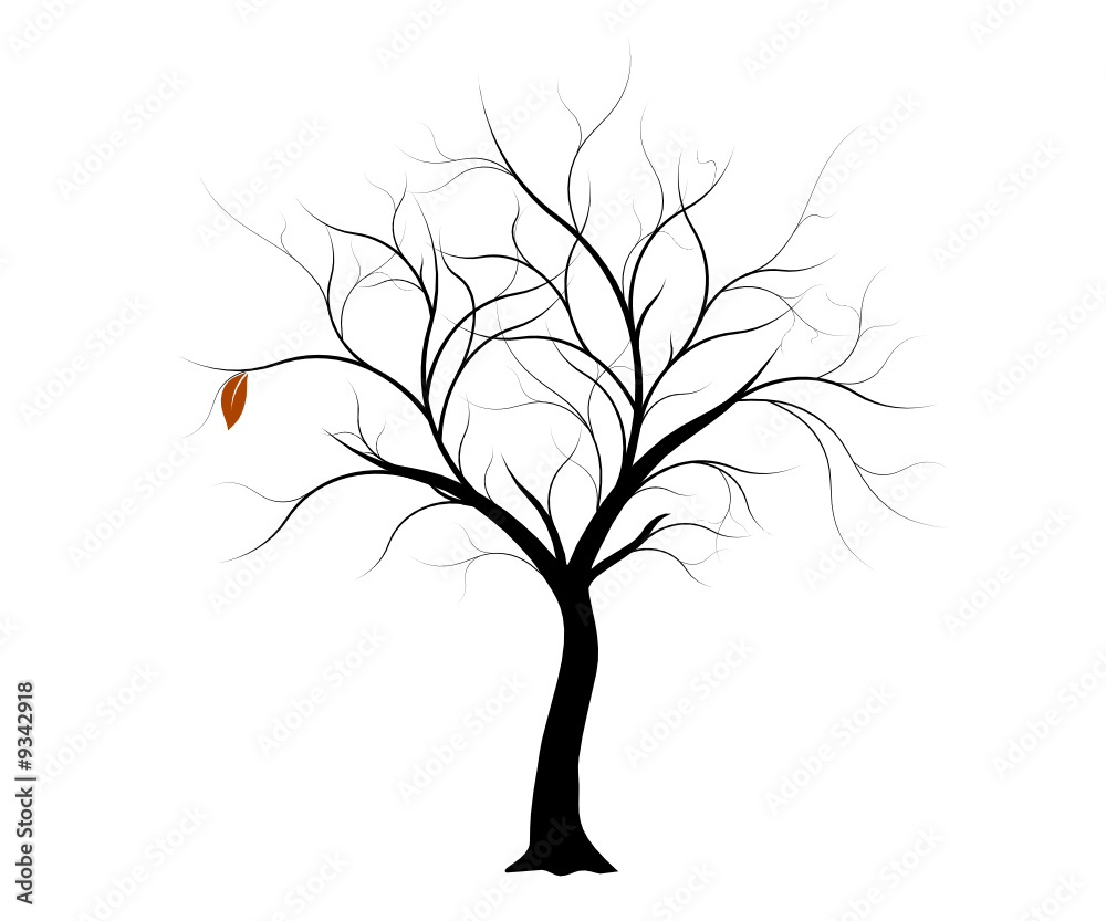 Obraz premium vecteur série, arbre d'automne vectoriel - Vector autumn tree