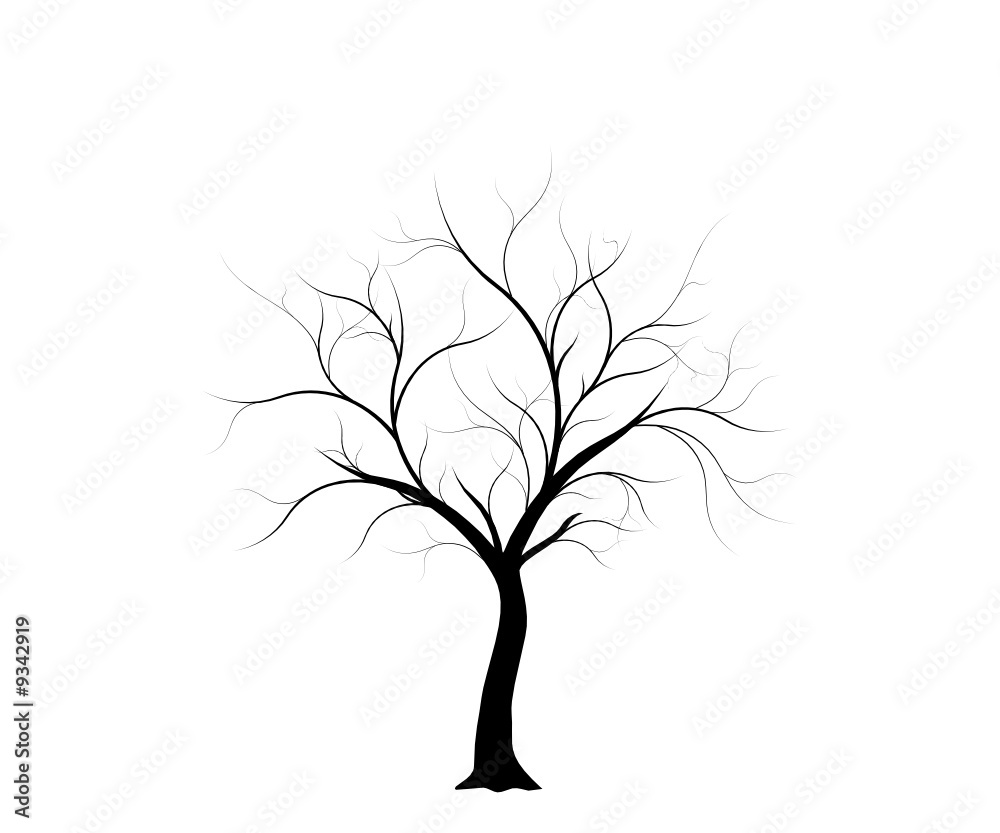 vecteur série, arbre en hiver - vector winter tree vecteur série, arbre en hiver - vector winter tree