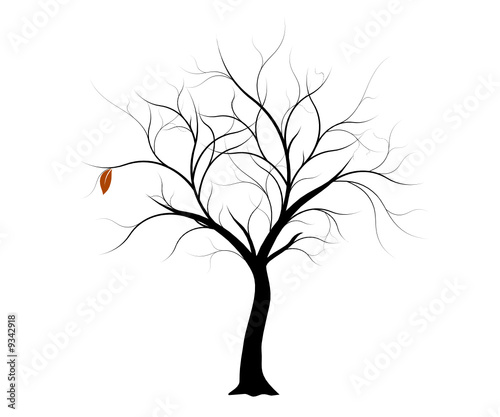 vecteur série, arbre d'automne vectoriel  - Vector autumn tree