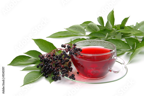 Tee Holunder - tea elder 01