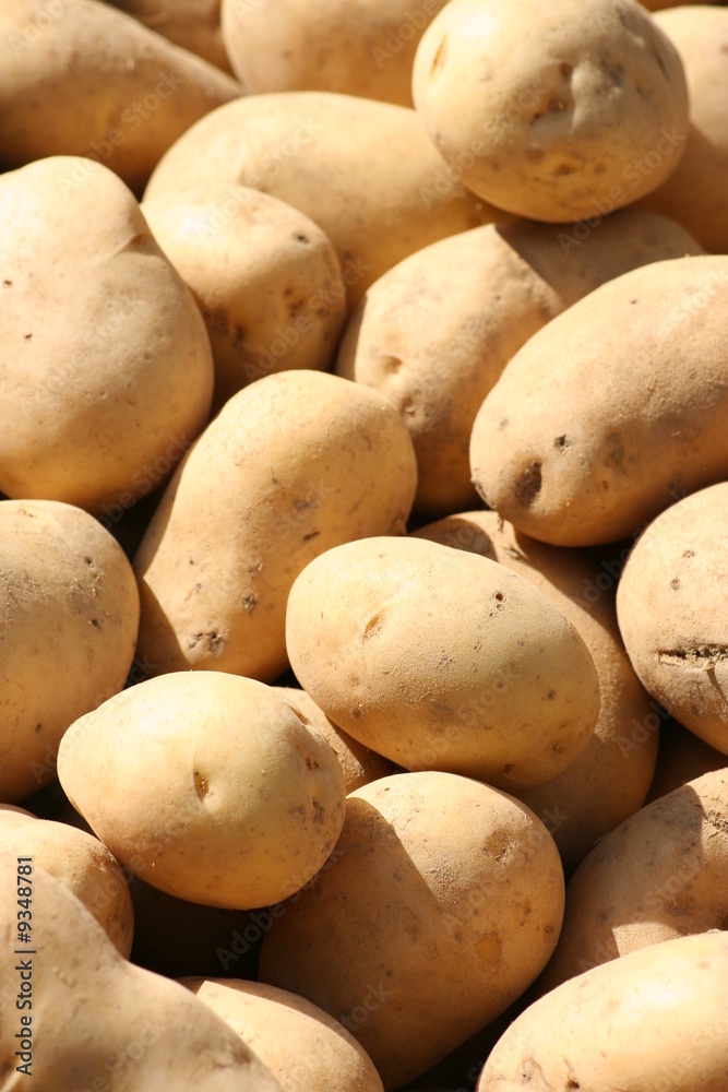 Pommes de terre Pommes de terre