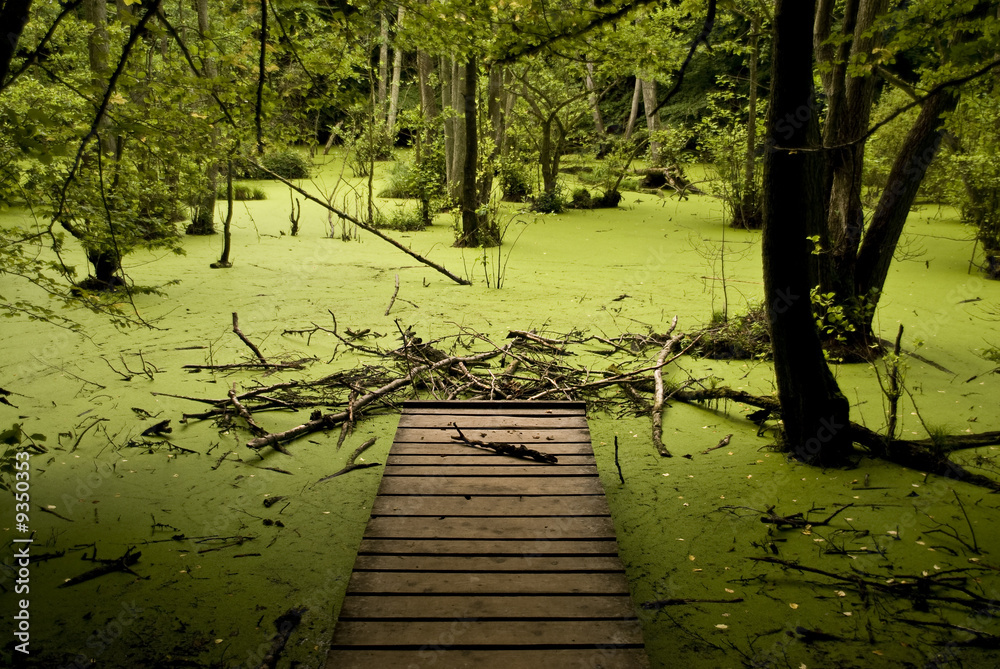 Naklejka premium Rügen 080902 379