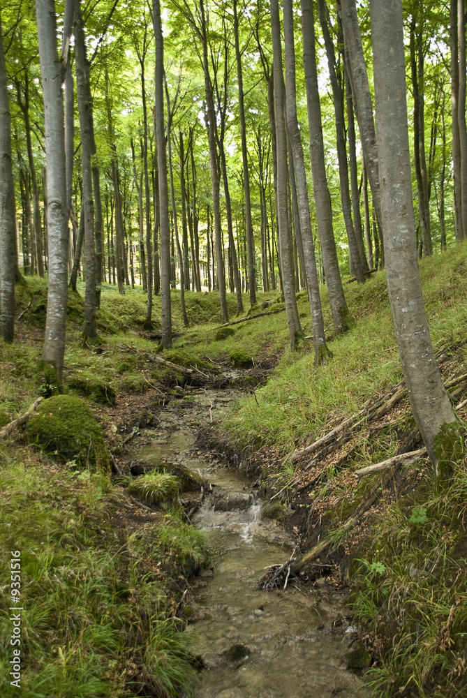 Rügen 080902 482