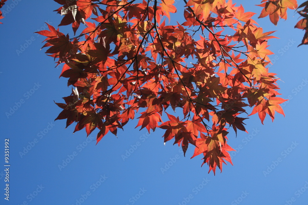 Herbststimmung im September
