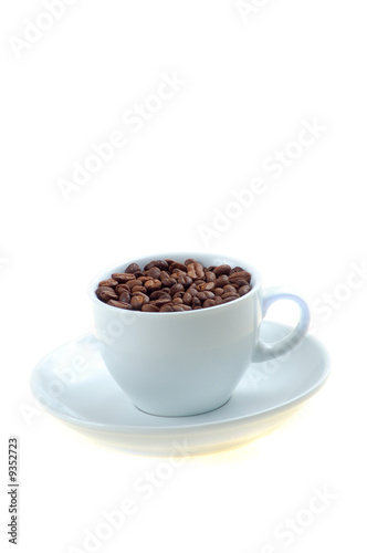 Cup of coffee seeds