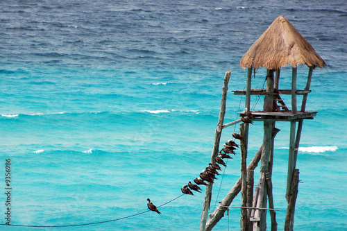 sea isla mujeres