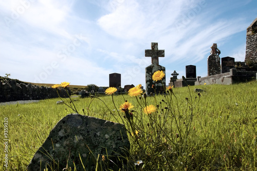Принти на полотні an old irish graveyard in Kerry on the west coast of Ireland