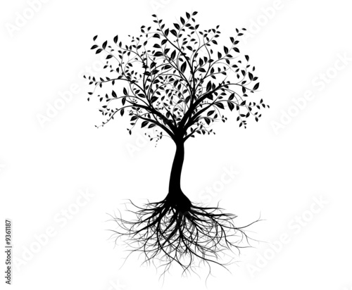 vecteur série, jeune arbre avec racines - vector tree with roots