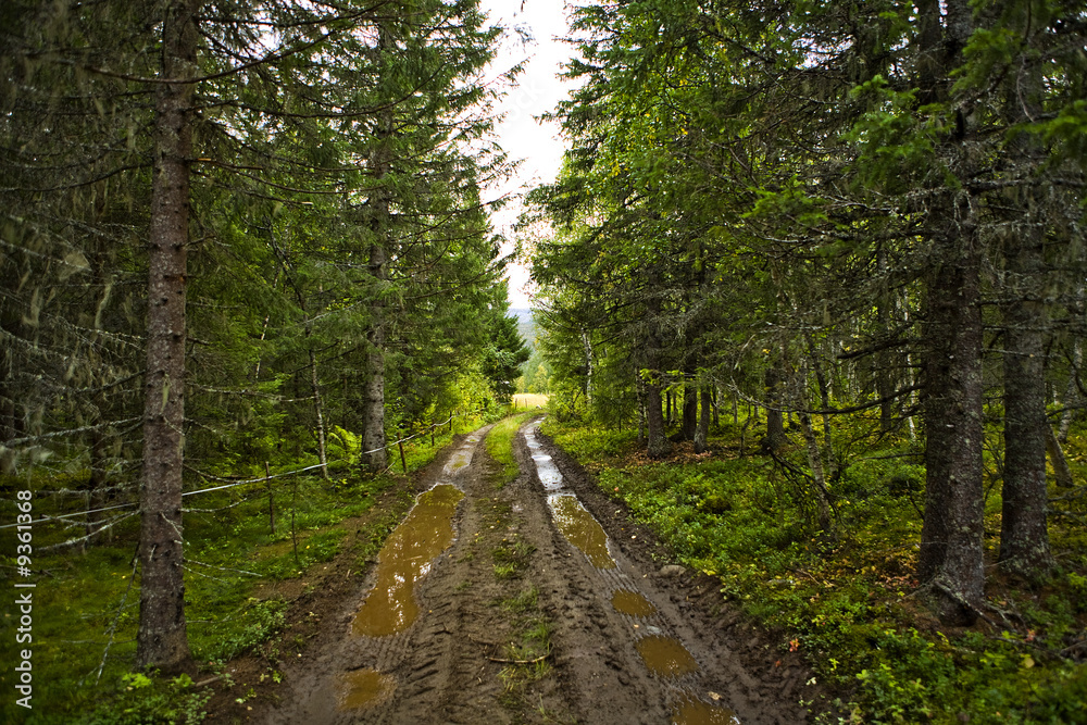 Dirt road Dirt road